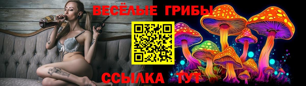 цена   Вход с VPN  Когалым  Галлюциногенные грибы Cubensis  Псилоцибиновые грибы Psilocybe 